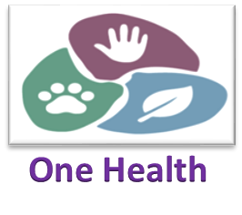 e6 one health